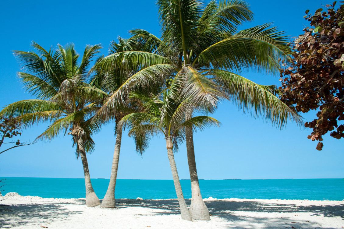 playas-Key-West-Cayos-Florida