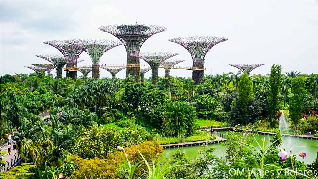 C mo Visitar Los S per rboles Gardens By The Bay En Singapur C mo Visitar Los S per rboles Gardens By The Bay En Singapur