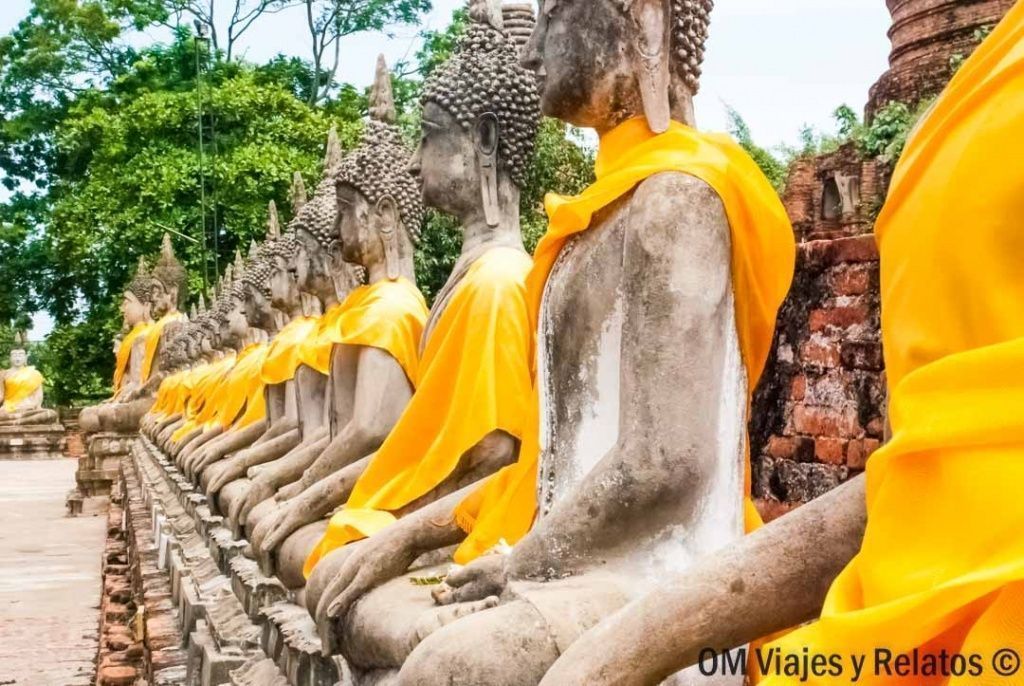 Fila de estatuas de Buda con túnicas amarillas en Ayutthaya, un lugar donde respetar la vestimenta en los templos de Tailandia.