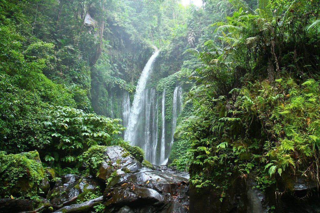 Cascada rodeada de exuberante selva tropical, uno de los rincones más impresionantes de las cascadas de Lombok.