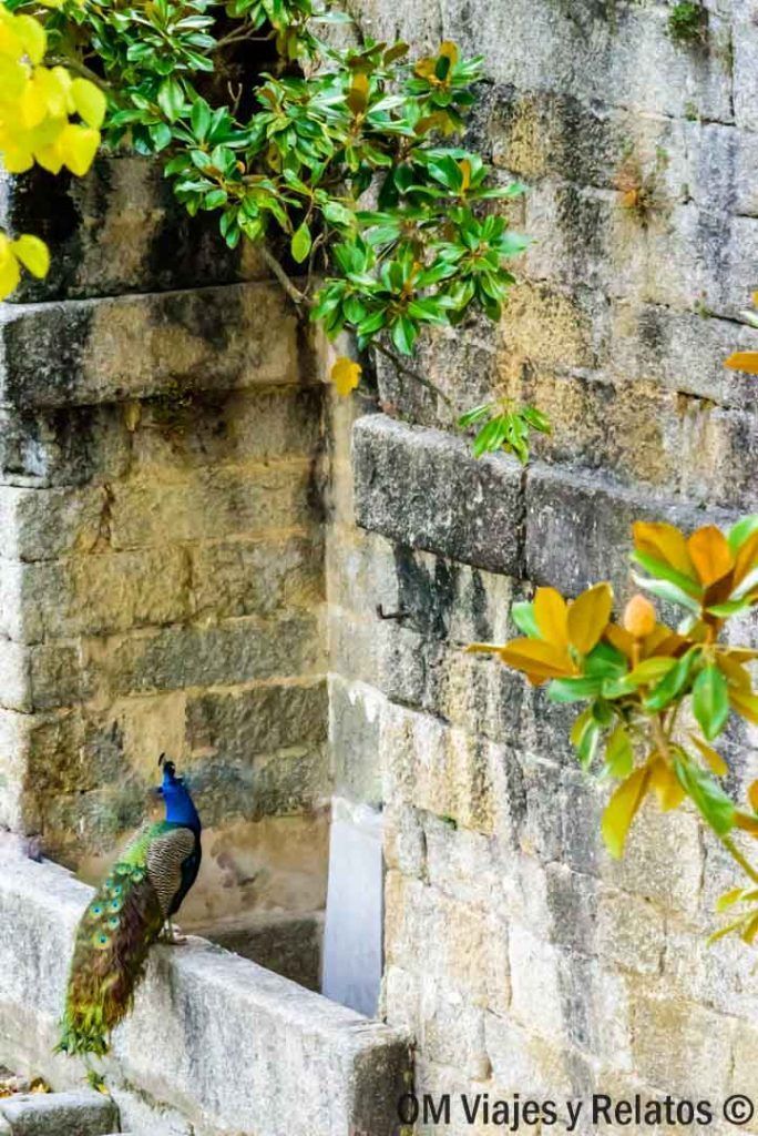 jardines-El-Escorial