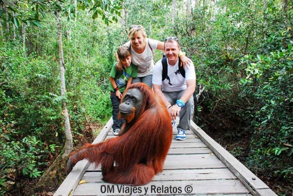 Foto nuestra en familia junto a los orangutanes de Borneo