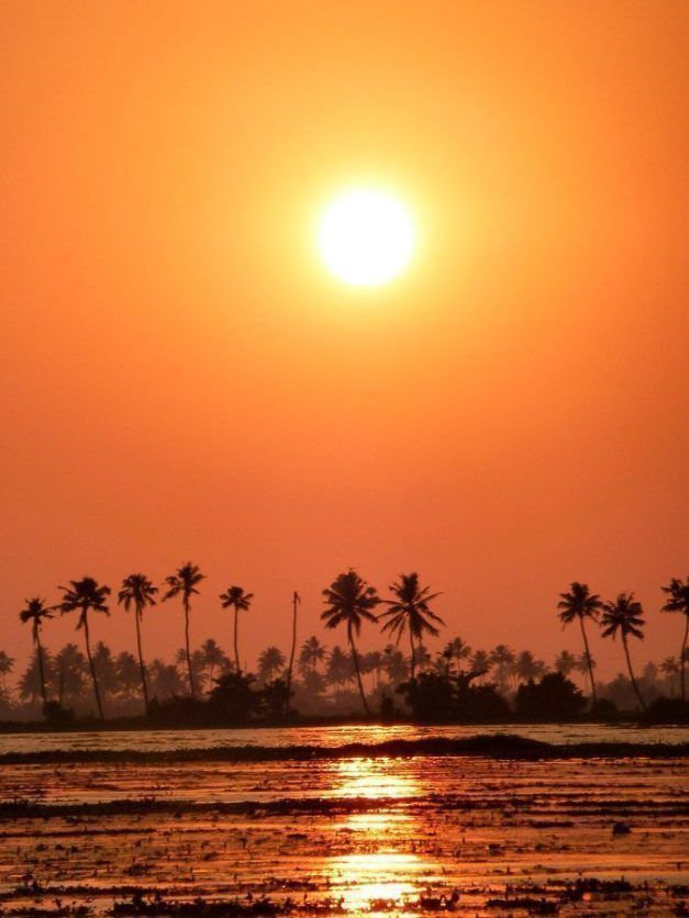 backwaters-sunset