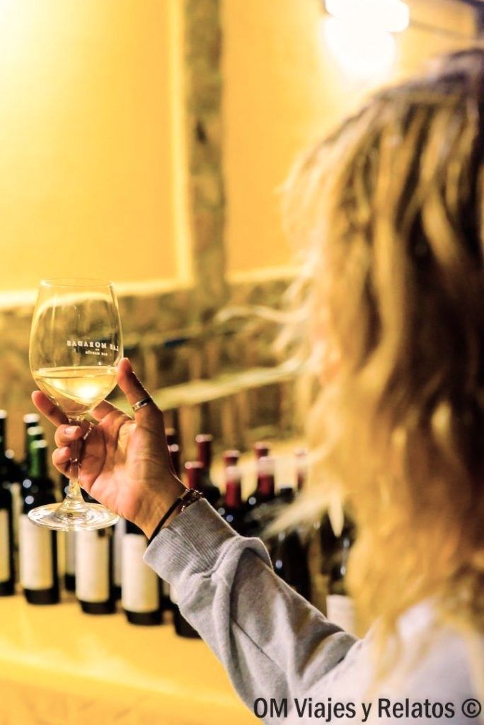 Pueblos-de-Madrid-con-encanto-San-Martín-de-Valdeiglesias-cata-vinos