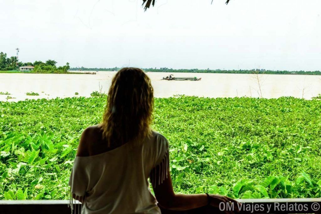 Foto mía contemplando el río Mekong con vegetación flotante, Que ver en Vietnam en 15 días