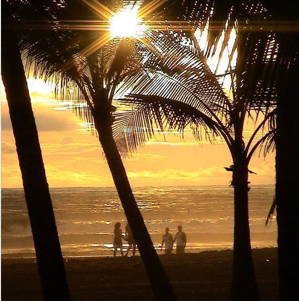 Ver un atardecer entre palmeras en las playas del Pacífico es una experiencia que demuestra por qué merece la pena ir a Costa Rica.