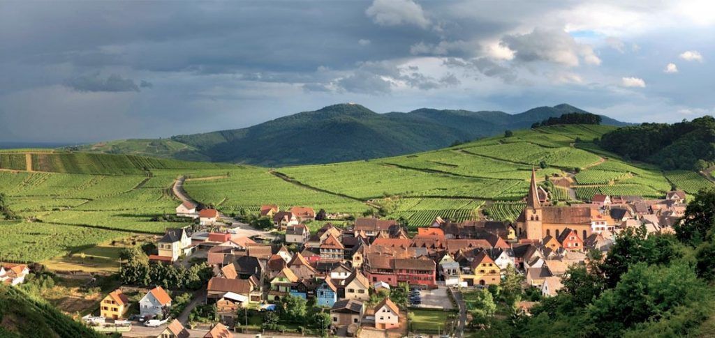 Vista panorámica de un pueblo alsaciano rodeado de viñedos y colinas verdes, una parada preciosa en una ruta por los pueblos de Alsacia en coche.
