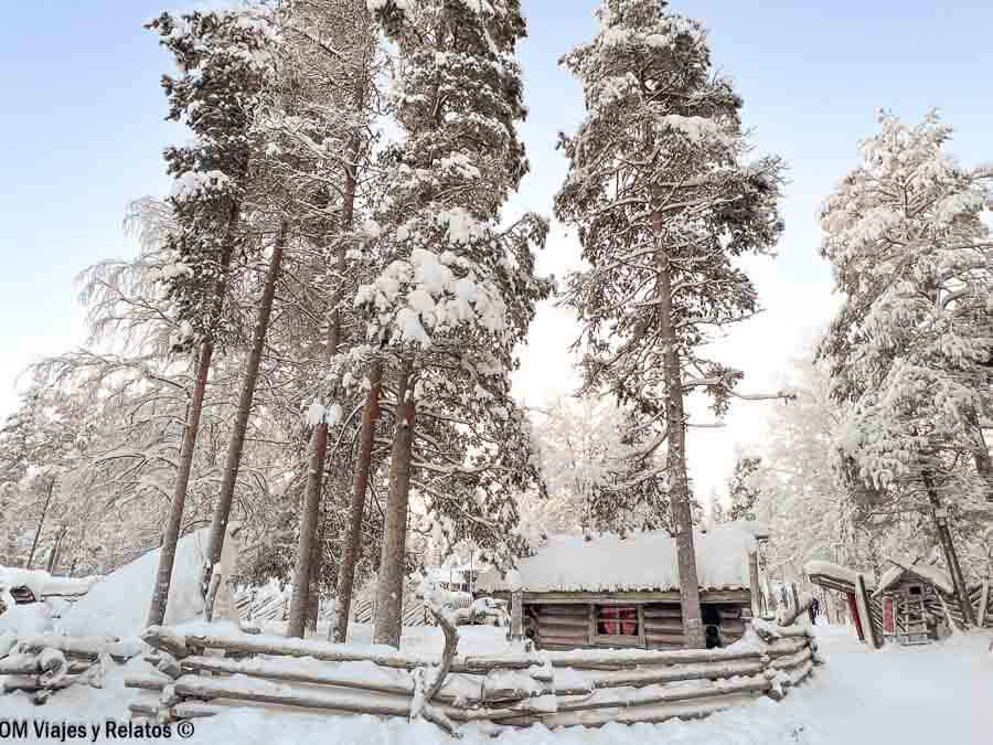 Paisaje ártico con altos pinos y valla de troncos al viajar a Laponia por libre