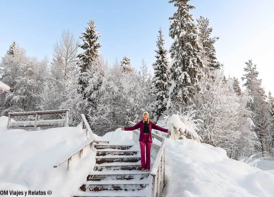 Una servidora con los brazos abiertos entre bosques nevados al viajar a Laponia por libre en invierno