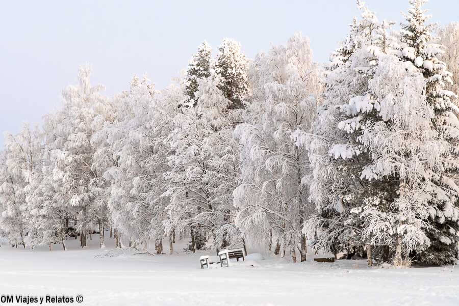 Paisaje nevado con árboles cubiertos de nieve en Rovaniemi durante el invierno cerca de la ruta sobre como ir del aeropuerto de Rovaniemi al centro.