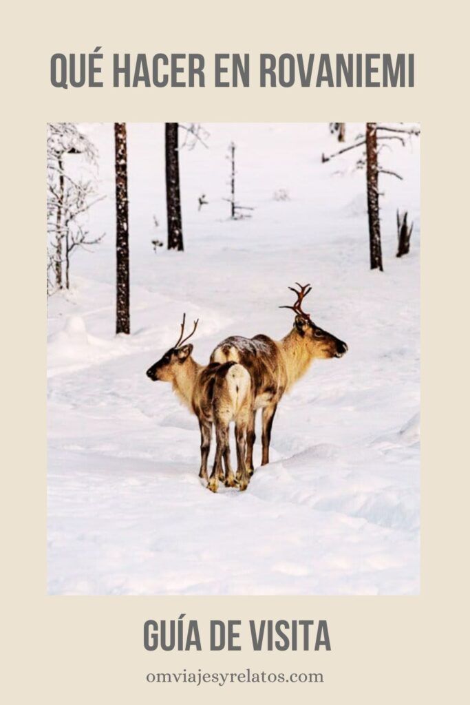 Qué hacer en Rovaniemi: Guía completa