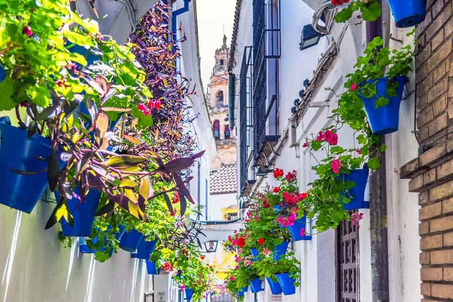 Calleja-de-las-Flores-Cordoba