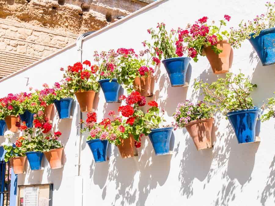como-visitar-los-Patios-de-Cordoba