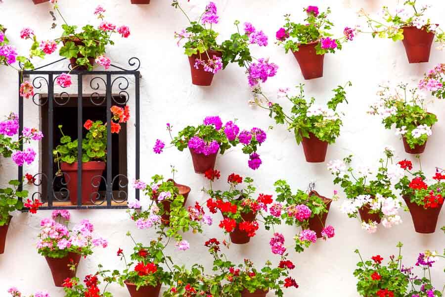 Ruta-por-los-Patios-de-Cordoba