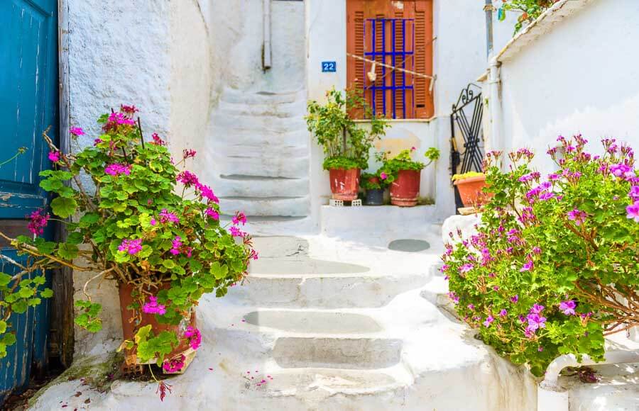 Calle blanca con macetas y flores en el barrio de Plaka, un imprescindible en que ver en Atenas en 1 día.