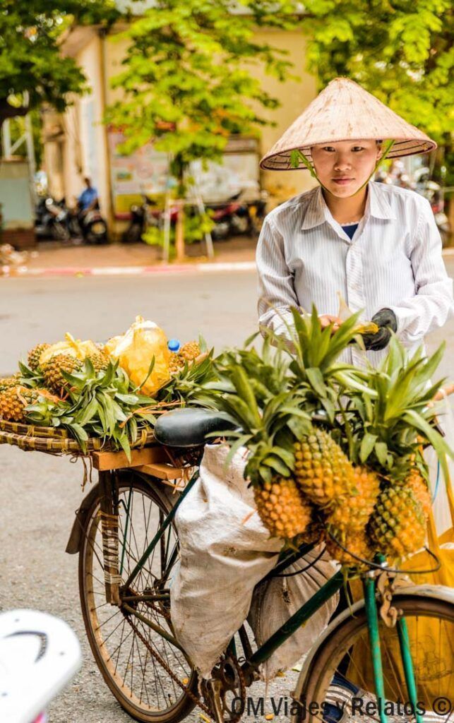 Vendedora ambulante en Vietnam con sombrero cónico junto a bicicleta cargada de piñas, escena local ideal para consejos para viajar a Vietnam por libre.
