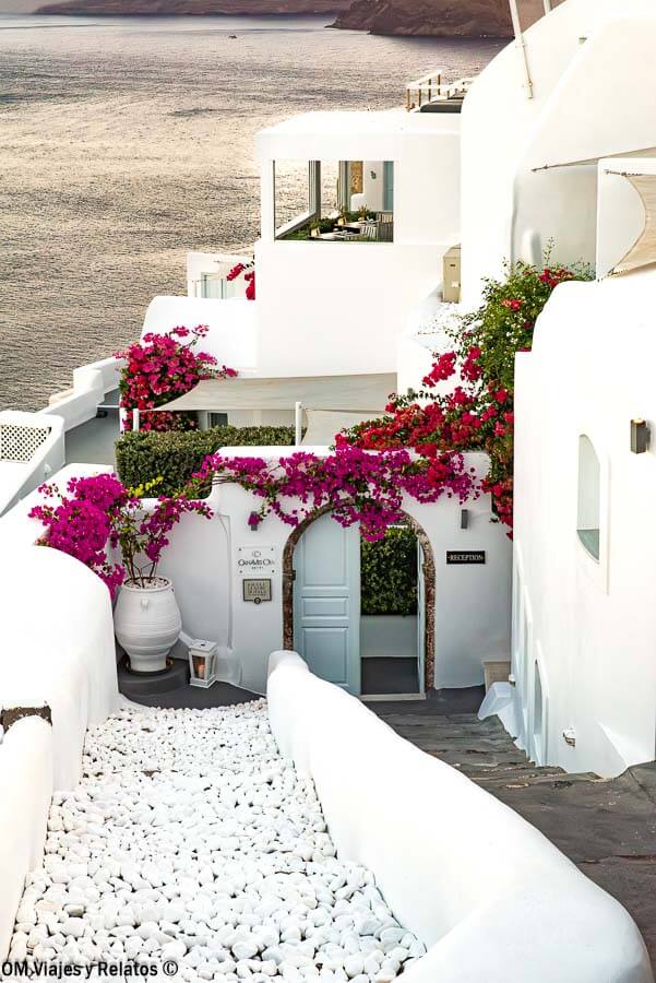 Alojamiento blanco con buganvillas y vistas al mar en Santorini, una imagen perfecta para hablar de donde dormir en Santorini.