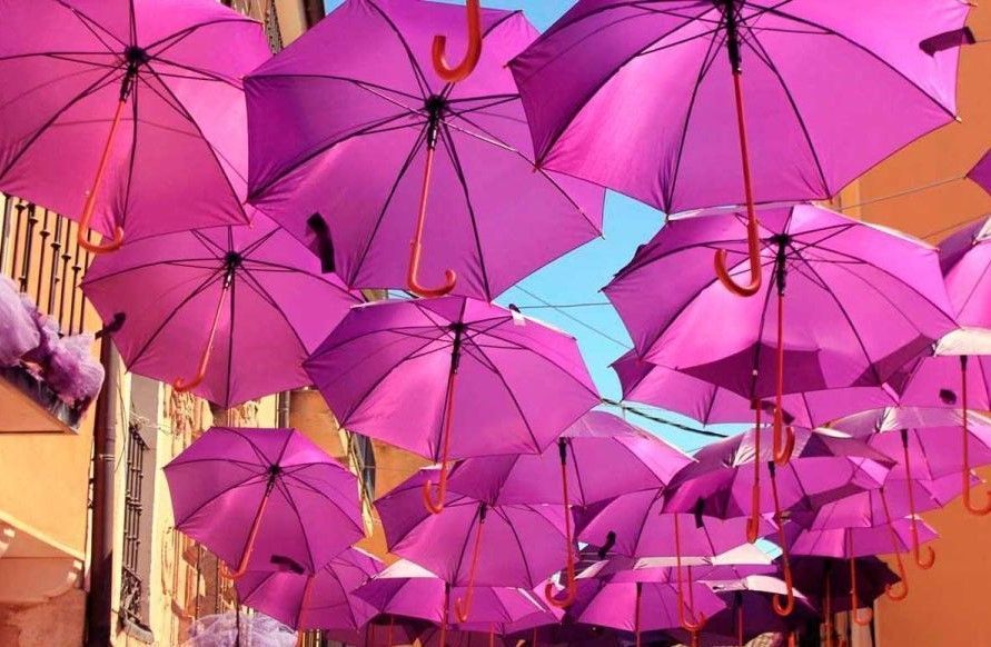 Calle decorada con paraguas morados durante la Fiesta de la Lavanda de Brihuega, una imagen muy fotogénica ligada a los campos de lavanda de Brihuega.