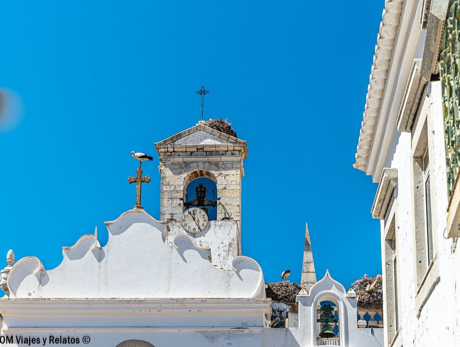 Iglesia con nidos de cigüeñas en el centro histórico de Faro, una estampa tradicional que ver en Algarve en 3 días.