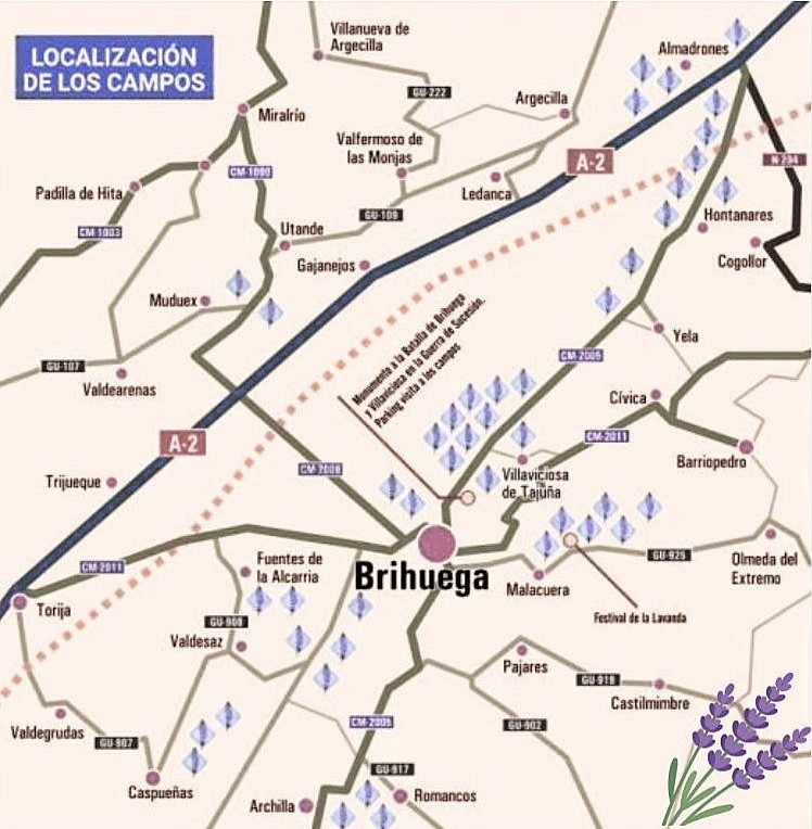 Mapa de como llegar a los campos de lavanda de Brihuega