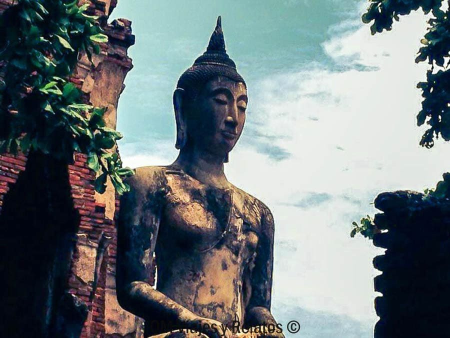 Gran estatua de Buda entre ruinas y vegetación en Ayutthaya en un día de visita