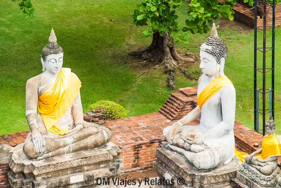 Ayutthaya en un día Dos estatuas de Buda con túnicas amarillas sobre pedestales en Ayutthaya en un día de visita