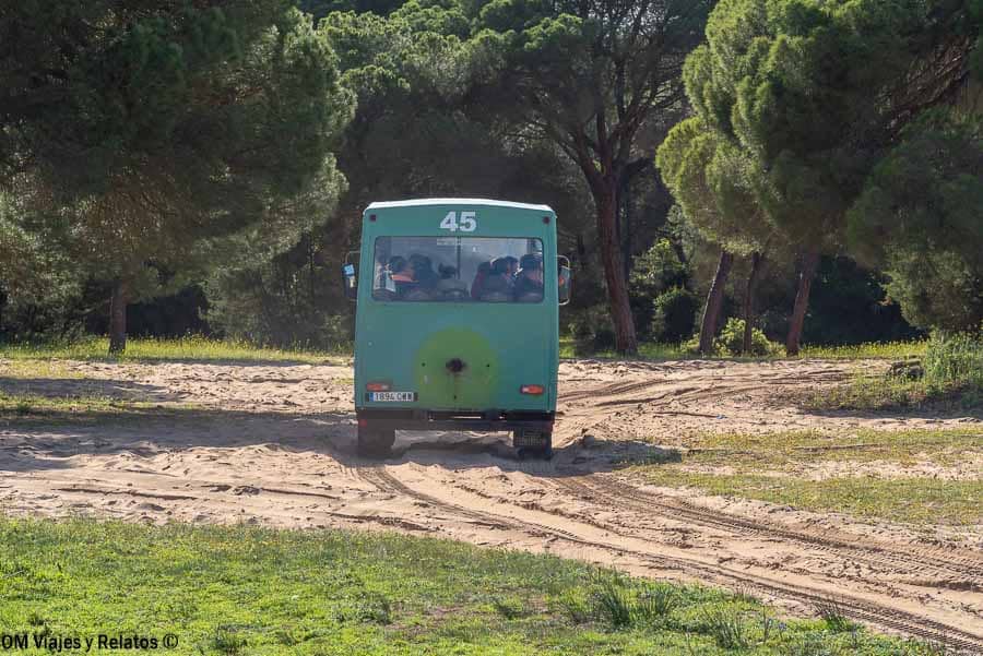 Ruta por Doñana en 4x4