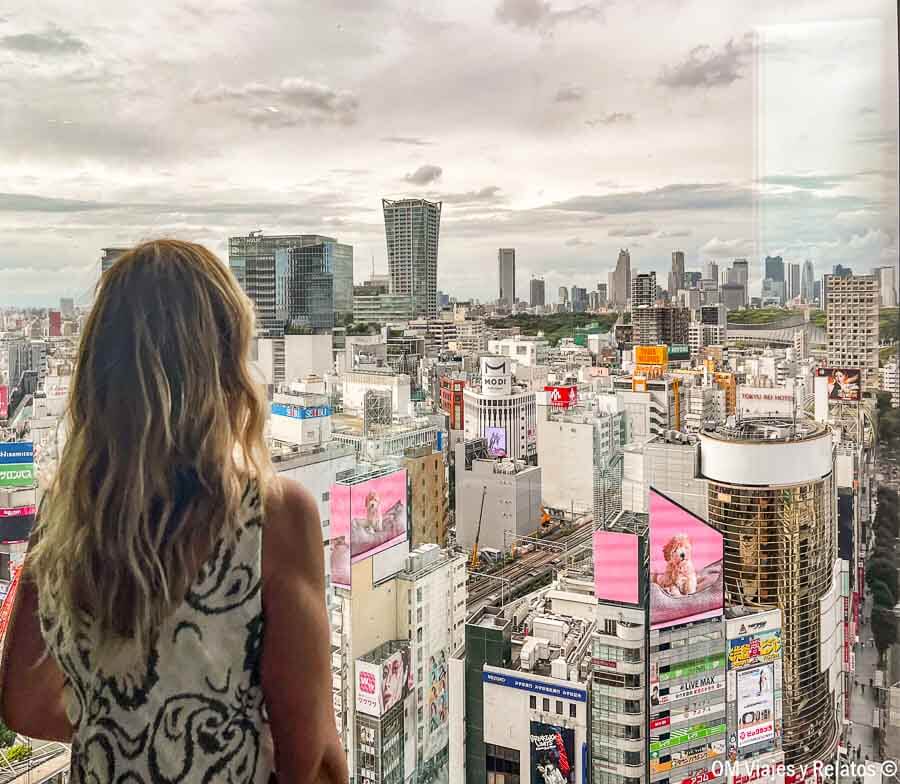 Foto mía observando el skyline de Tokio desde un mirador, consejos para viajar a Japón por libre: usar pases de transporte y planificar barrios por zonas.