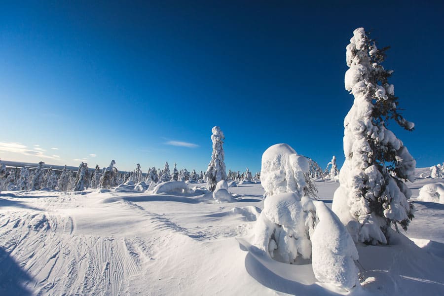 donde-dormir-en-un-iglu-de-cristal-en-Laponia