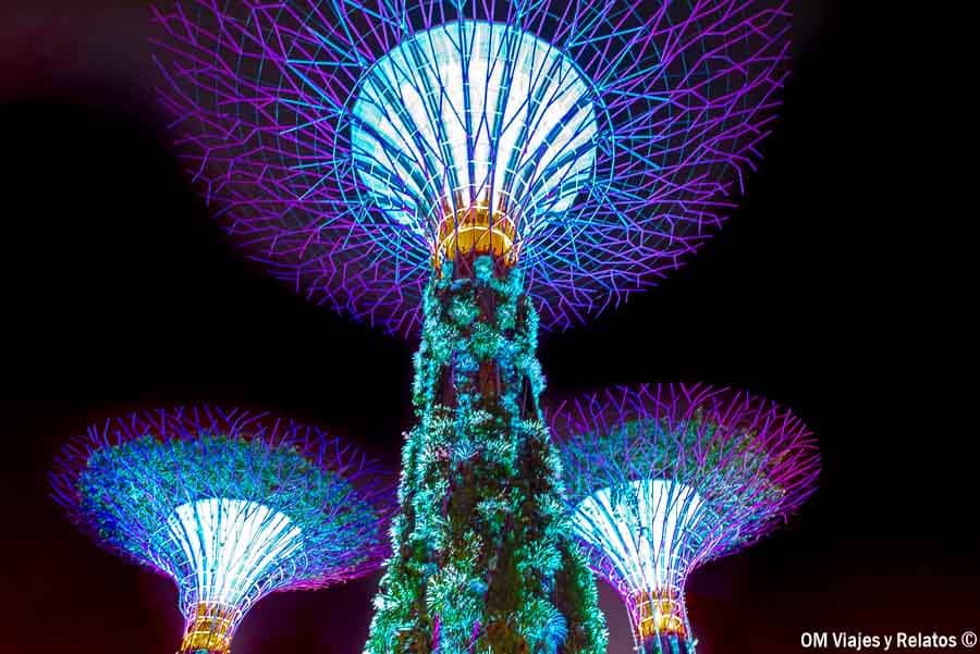 Supertree Grove iluminado de noche en Singapur, una imagen ideal para ilustrar internet en Singapur.