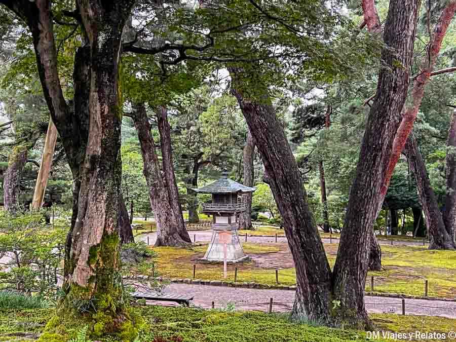 ceremonia-de-te-Japon-con-vistas-jardin-japones