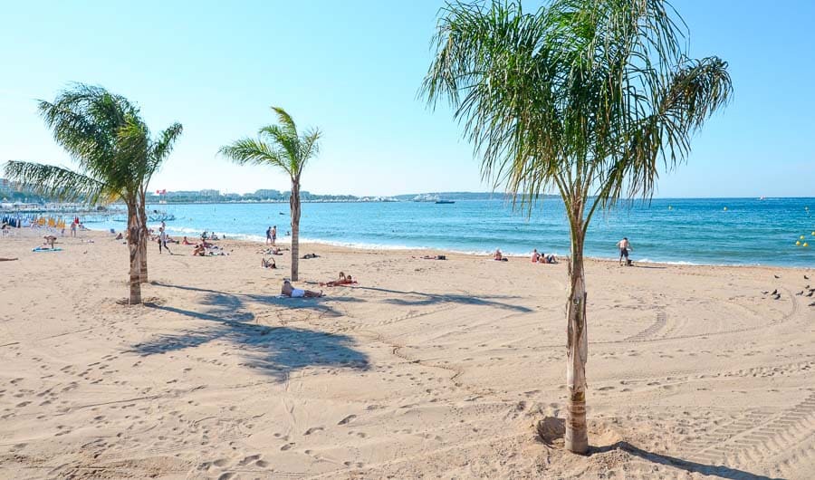 Playa de arena con palmeras y bañistas junto al mar Mediterráneo, paisaje imprescindible que ver en Cannes.