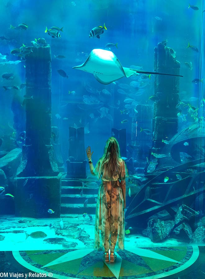 Foto mía contemplando una mantarraya en el acuario The Lost Chambers de Atlantis, una visita familiar para incluir en los consejos para viajar a Dubái.