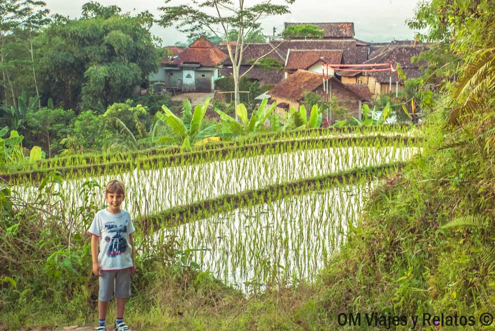 Nuestro hijo junto a arrozales en Bali con el pueblo al fondo, imagen para un post sobre internet en Bali y viajar conectado.