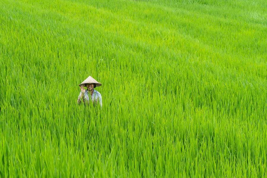 Como tener internet en Indonesia eSIM