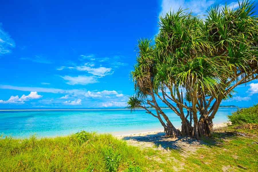 Playa tropical de Bali con agua turquesa y árboles en la orilla, imagen para un post sobre internet en Bali y viajar conectado.