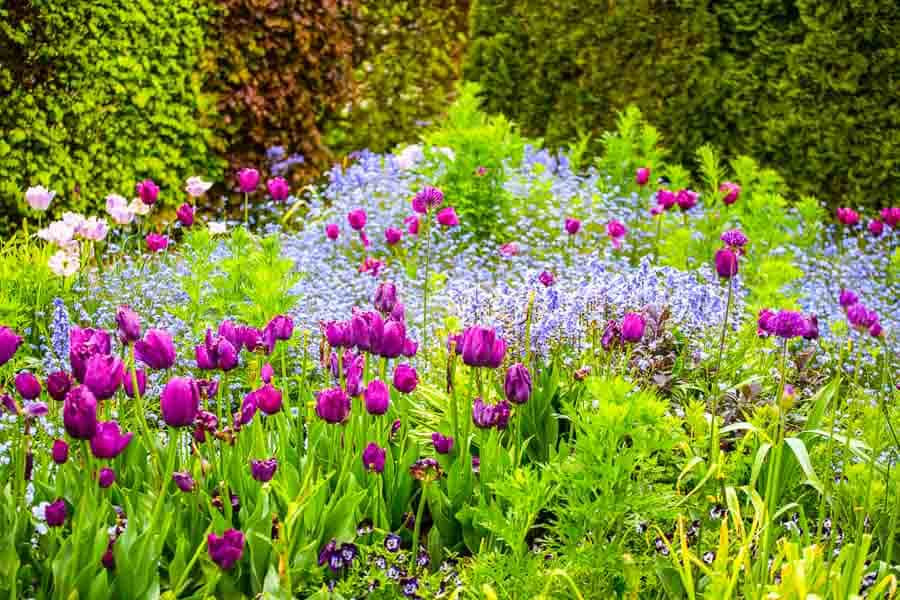 Jardines de la Casa de Monet en Giverny, una visita llena de color que ver cerca de París.