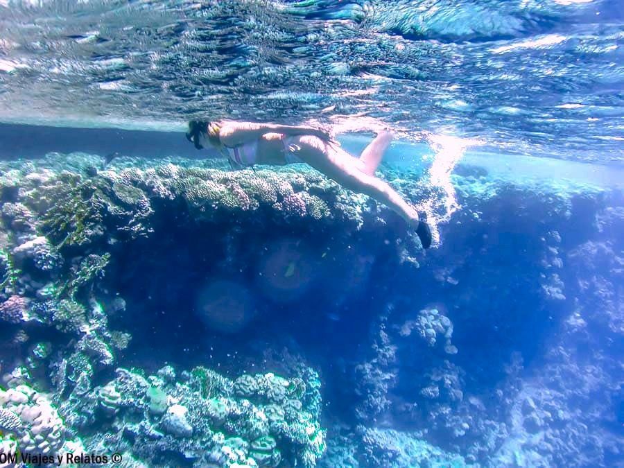 Una servidora haciendo snorkel en el Mar Rojo