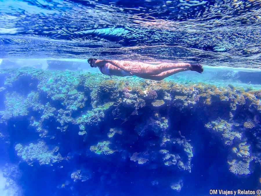 snorkel y buceo en Sharm El Sheikh