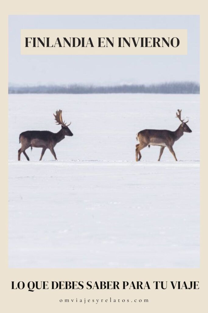 Guía para viajar a Finlandia en invierno con todo lo que debes saber de este destino. #Finlandia #Invierno #Europa