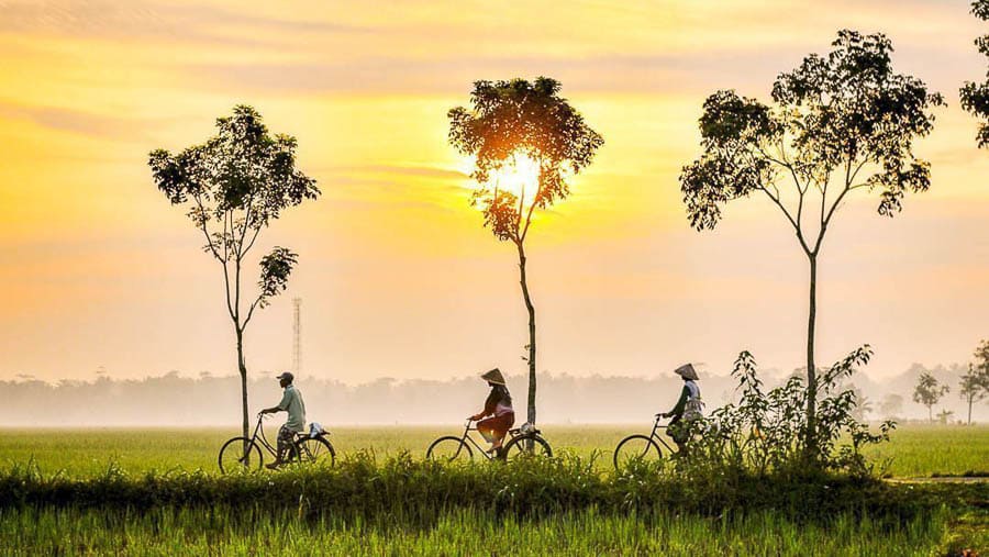 Amanecer en los arrozales de Vietnam con campesinos en bicicleta, una escena rural entre los imprescindibles de Vietnam.