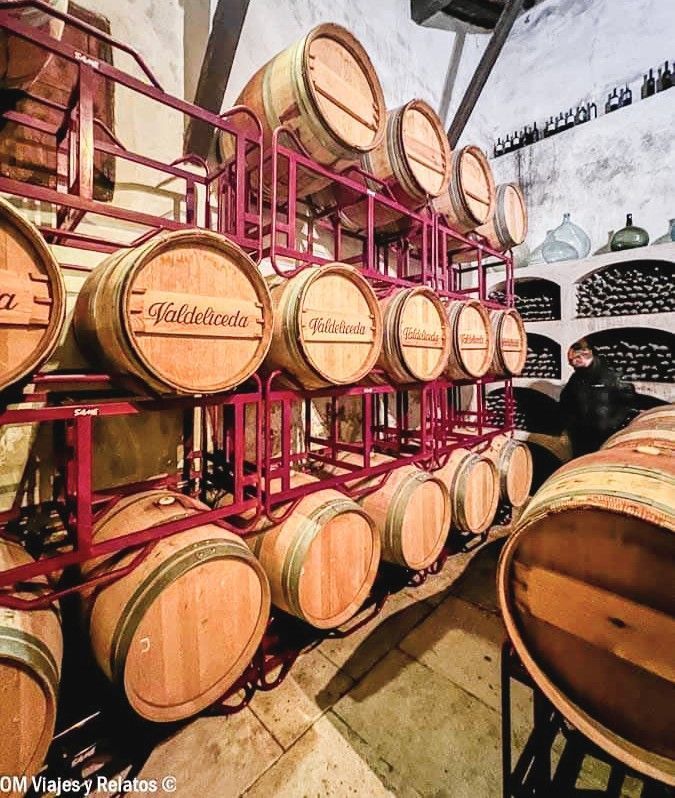Barricas de vino en la bodega del Nero durante una visita enoturística Chinchón que ver y donde comer