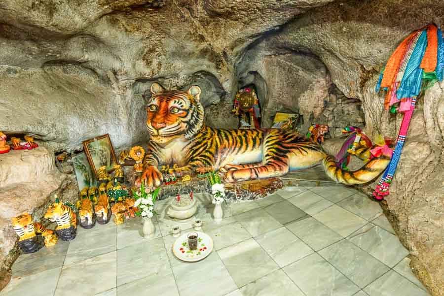 Santuario en cueva con gran tigre tumbado y ofrendas en el Templo del tigre Tailandia.