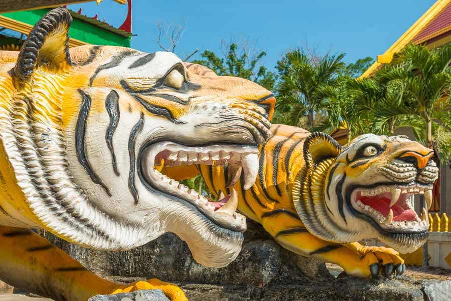 Primer plano de tigres decorativos rugiendo en la entrada del Templo del tigre Tailandia