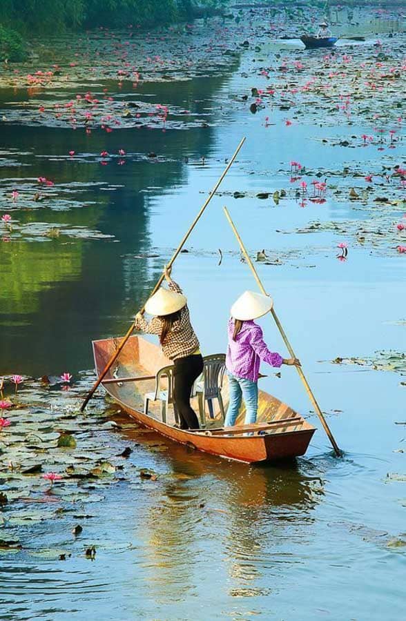 Dos mujeres con sombrero cónico navegan en una pequeña barca de madera entre nenúfares y flores de loto en los canales del Delta del Mekong, Vietnam.