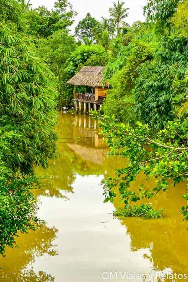 Delta del Mekong Vietnam: casa tradicional sobre pilotes junto a un canal rodeado de vegetación tropical.