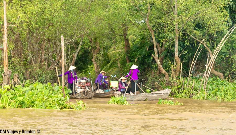 Barcas tradicionales con mujeres con sombrero cónico navegando entre jacintos de agua por un canal del Delta del Mekong, Vietnam, rodeado de vegetación tropical.