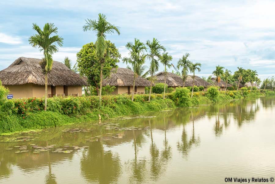 Bungalows con techo de paja y palmeras a orillas de un canal tranquilo en el Delta del Mekong, Vietnam, con reflejos en el agua.