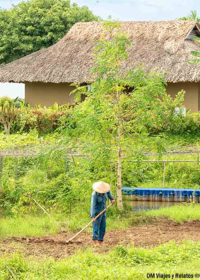 Campesino con sombrero cónico trabaja la tierra con una azada frente a una casa de techo de paja, rodeado de vegetación en el Delta del Mekong, Vietnam.