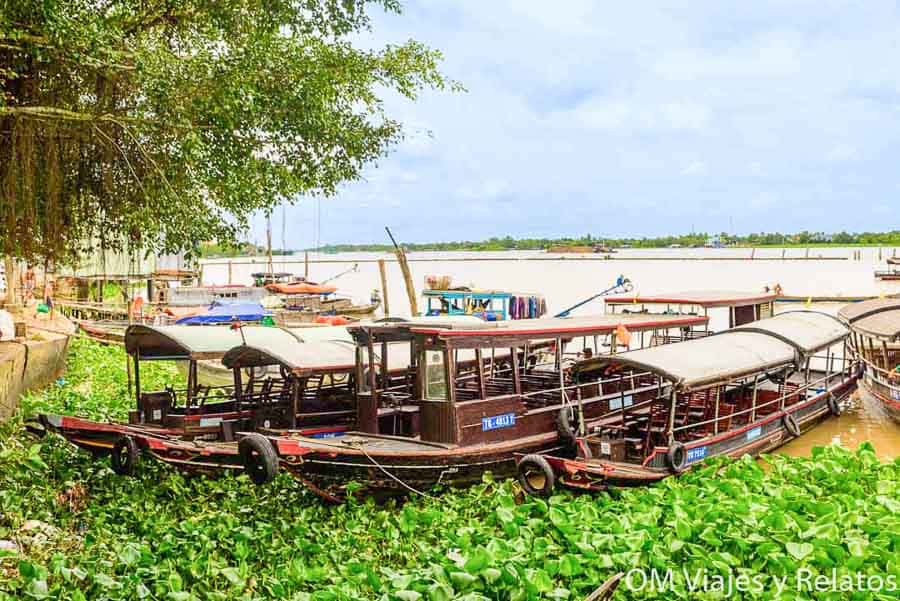 Delta del Mekong Vietnam: barcos de madera amarrados en la orilla del río entre vegetación flotante y casas locales.